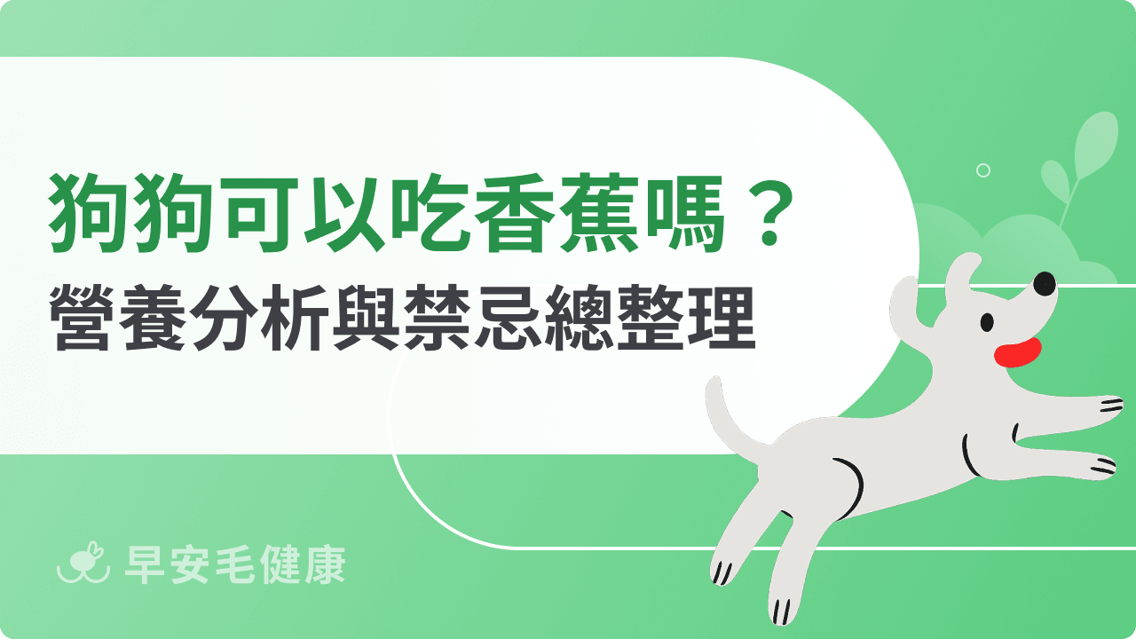 狗可以吃香蕉嗎?狗狗吃香蕉好處、每日份量與餵食禁忌解析