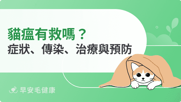 貓瘟有救嗎？貓瘟症狀、傳染、治療方式與預防疫苗
