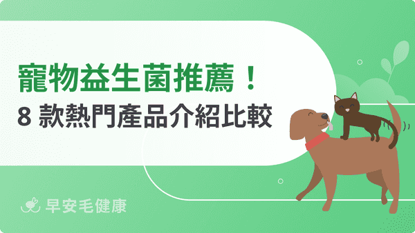寵物益生菌推薦｜2026 精選 8 款，軟便口臭飼主必看