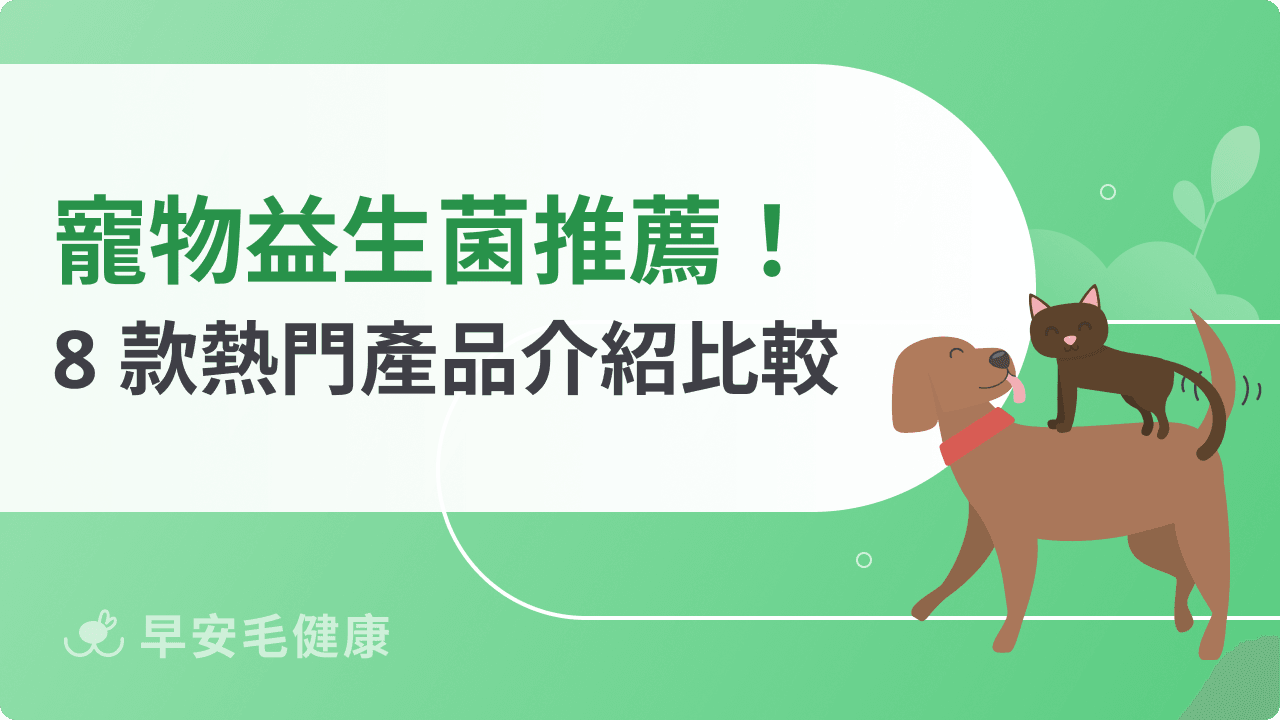 寵物益生菌推薦｜2026 精選 8 款，軟便口臭飼主必看