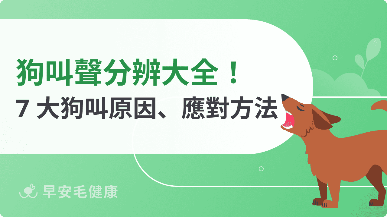 狗叫聲判讀解析!狗叫聲7種原因、常見狗叫聲與應對方法