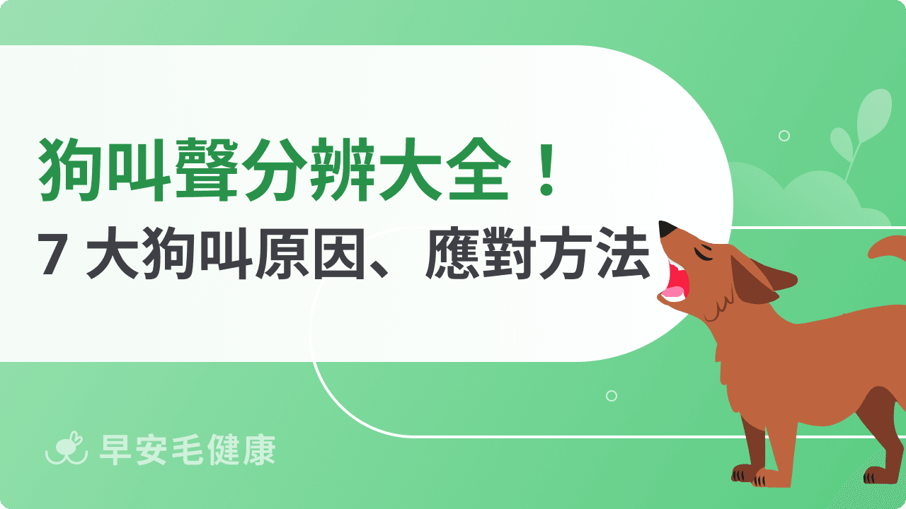 狗叫聲判讀解析！狗叫聲7種原因、常見狗叫聲與應對方法