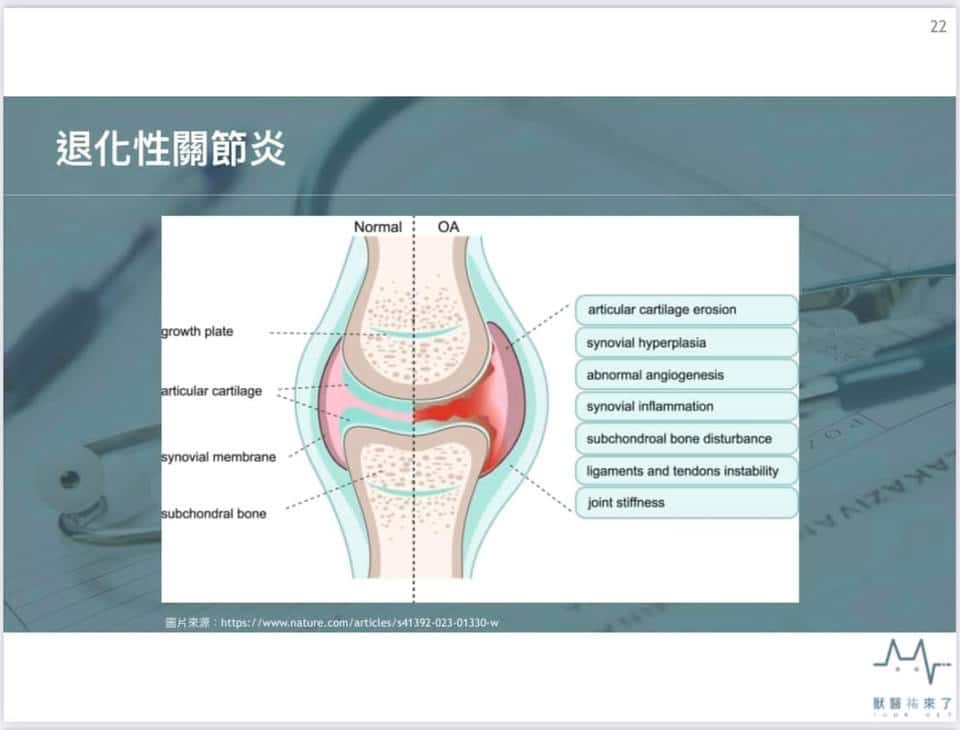 2.pets-osteoarthritis-guide-1