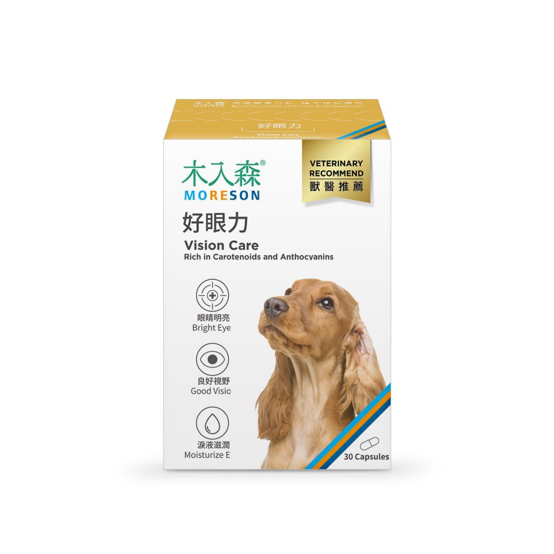 木入森 犬寶好眼力