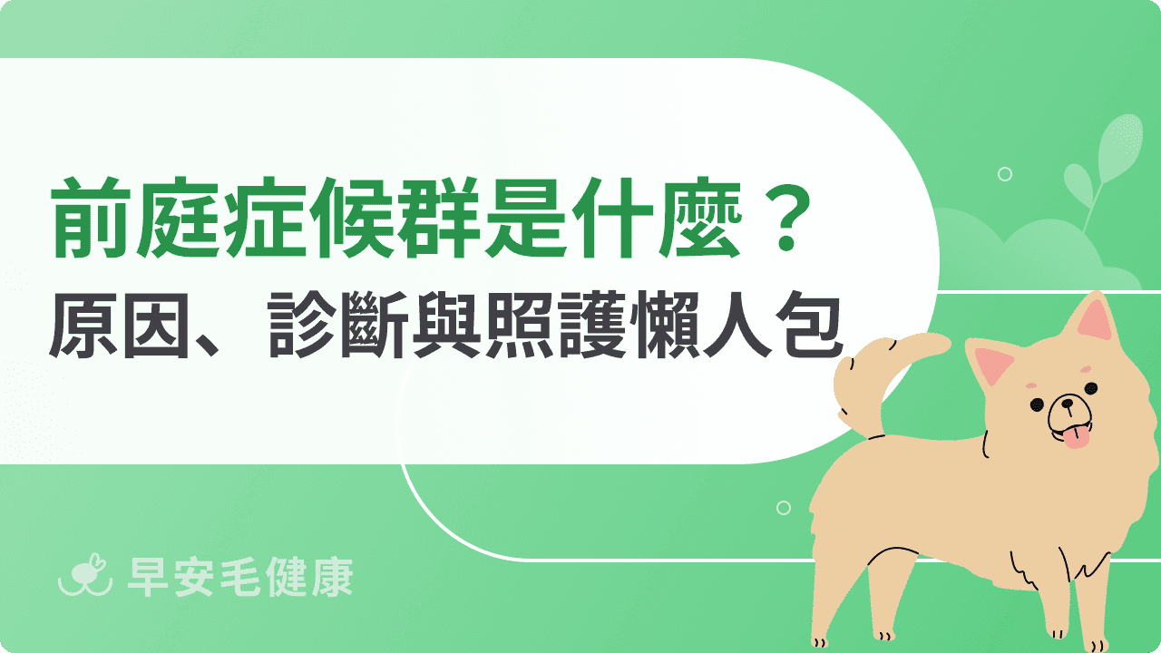 狗狗前庭症候群會好嗎？狗歪頭走路不穩的治療黃金期與照護指南！