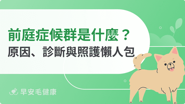 狗狗前庭症候群是什麼?老狗前庭症候群原因、診斷與照護懶人包