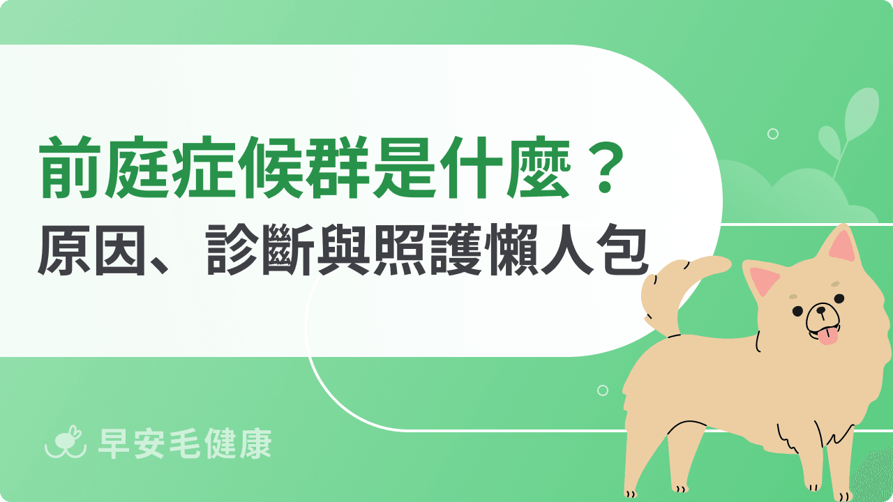 狗狗前庭症候群是什麼?老狗前庭症候群原因、診斷與照護懶人包