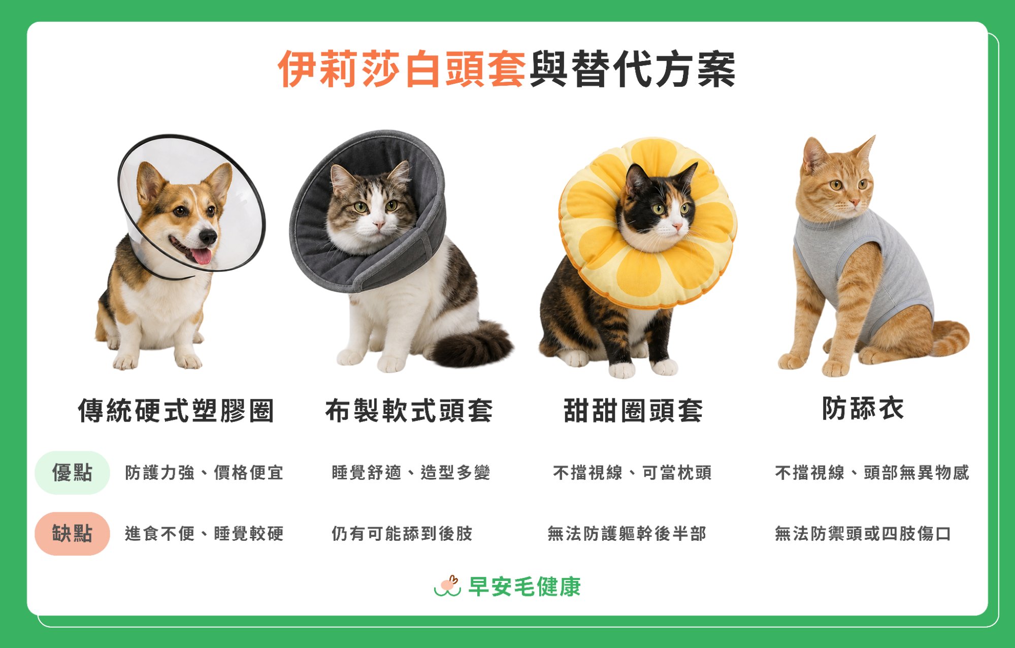 伊莉莎白頭套與替代方案