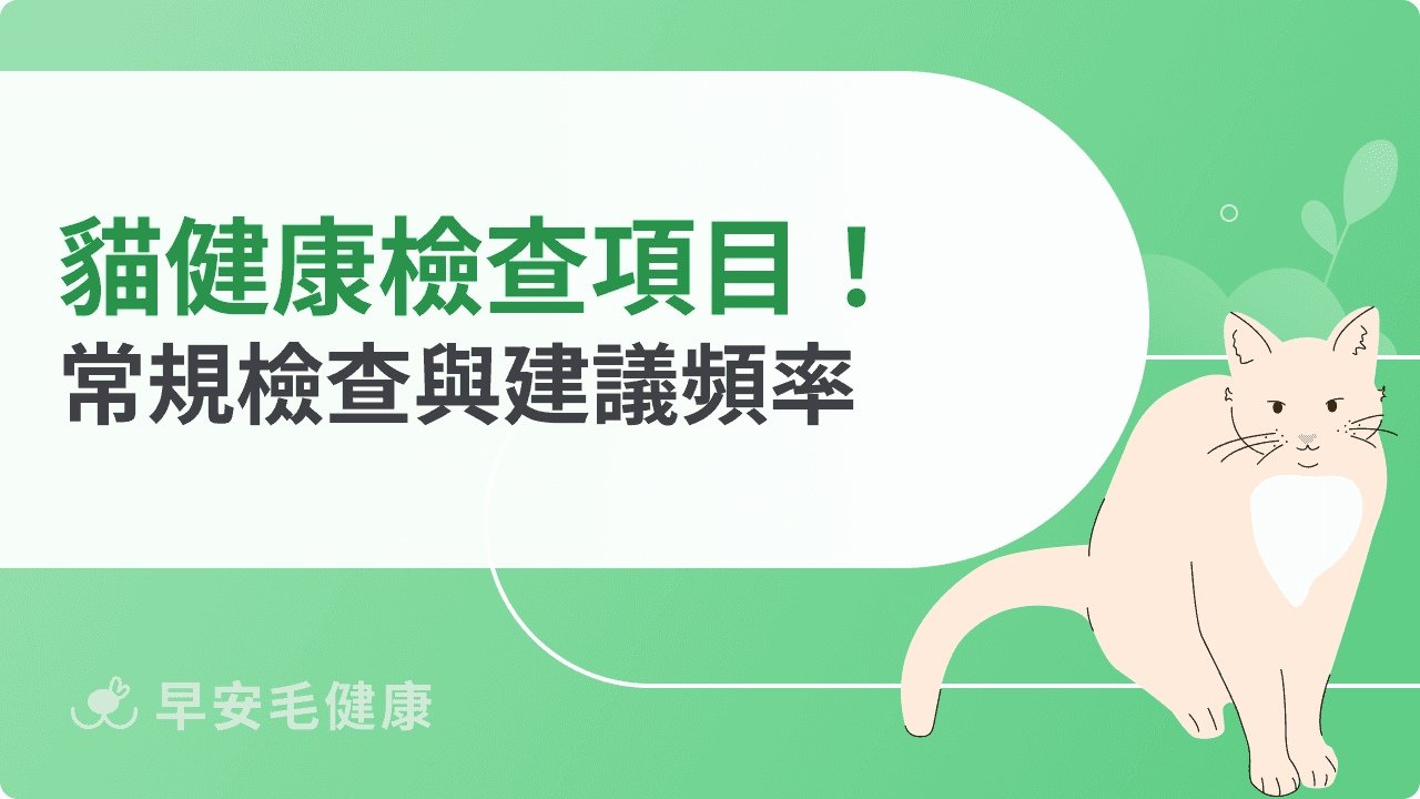 貓咪健康檢查項目有哪些？常規檢查與建議頻率一次看懂