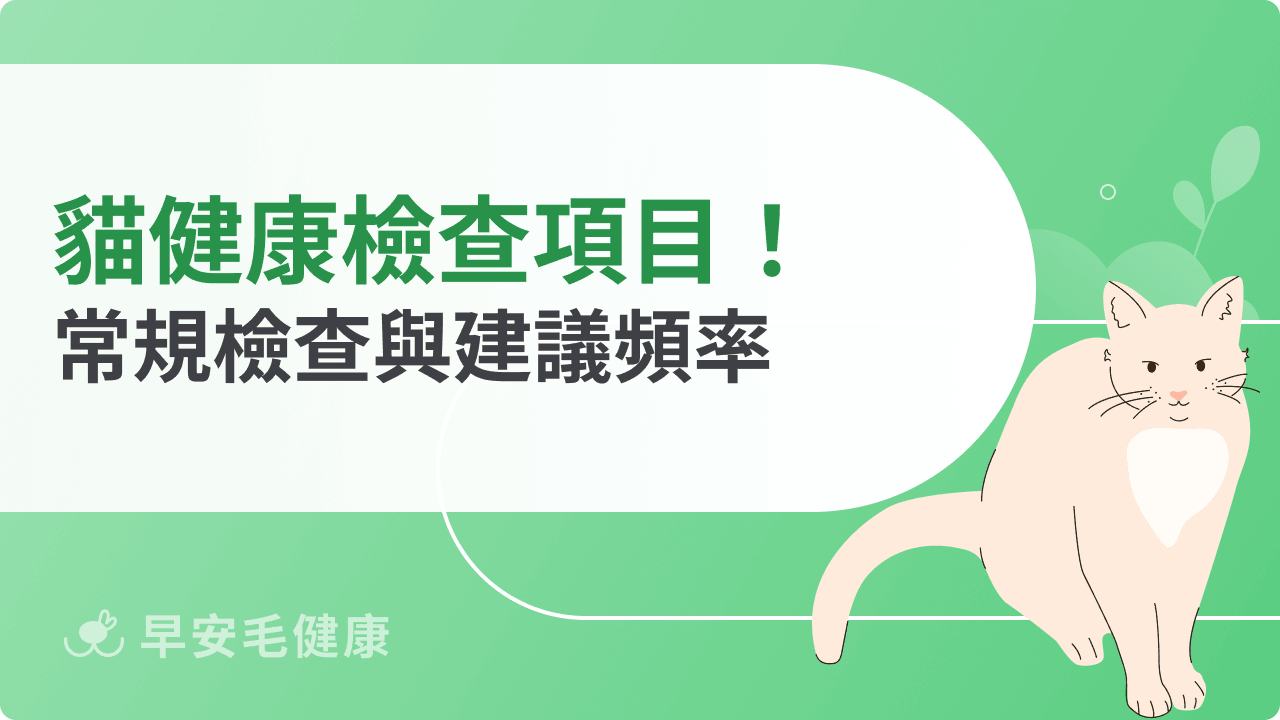 貓咪健康檢查項目有哪些?常規檢查與建議頻率一次看懂
