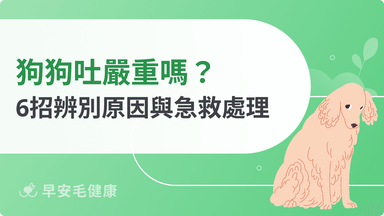 狗狗吐原因？從白色、黃色嘔吐物顏色判讀！照護建議一次看