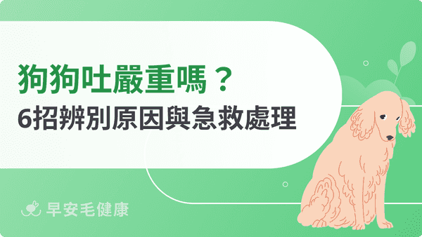 狗狗吐了怎麼辦?教你6招辨別原因與急救處理