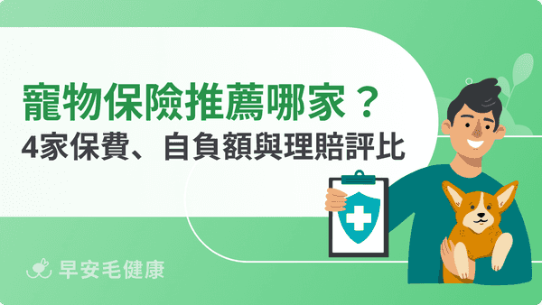 寵物保險推薦！2026 最新 4 家台灣寵物險保費、自負額與理賠方案評比