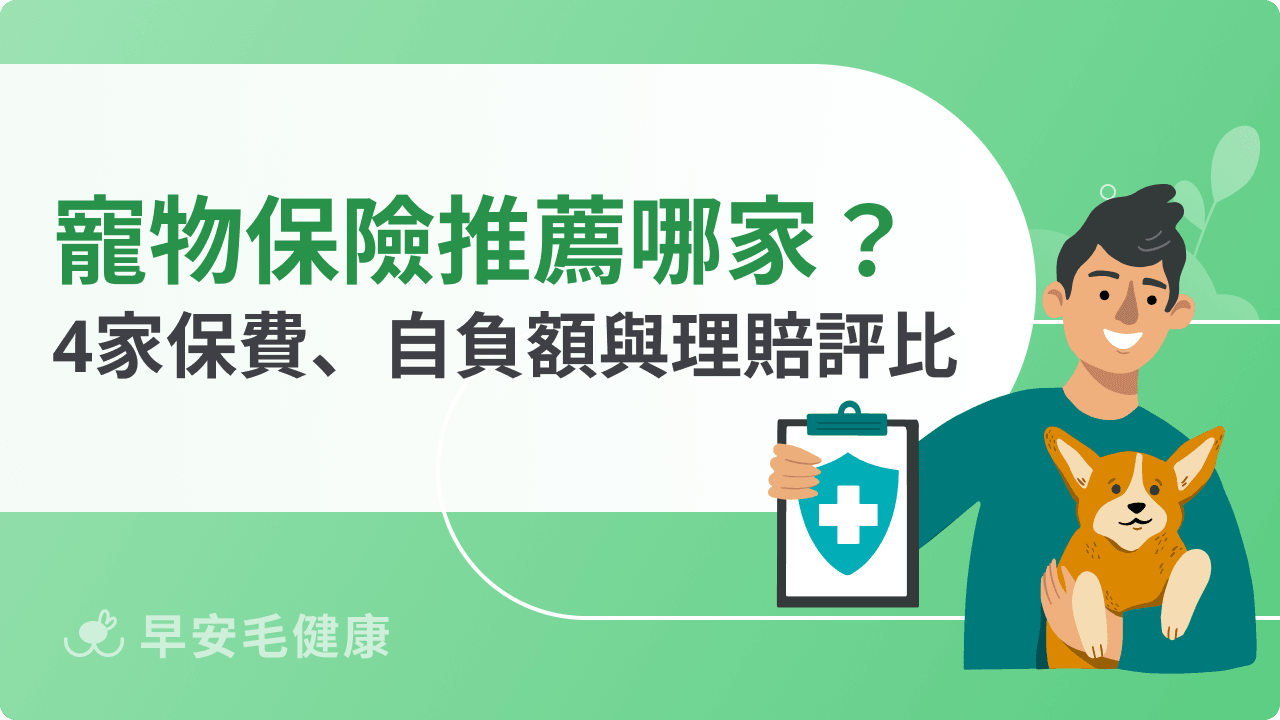 寵物保險推薦！2026 最新 4 家台灣寵物險保費、自負額與理賠方案評比