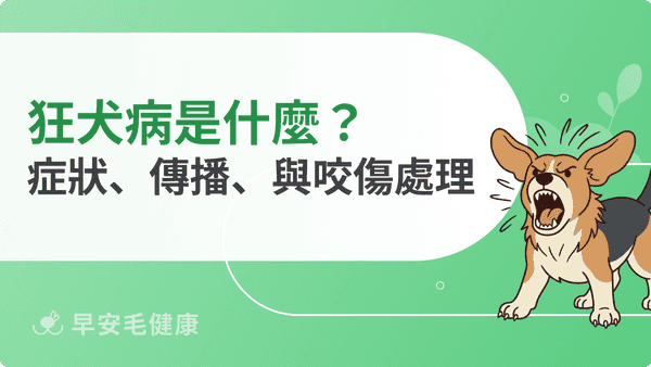 狂犬病是什麼？症狀、傳播途徑、疫苗接種與被咬後處理方式