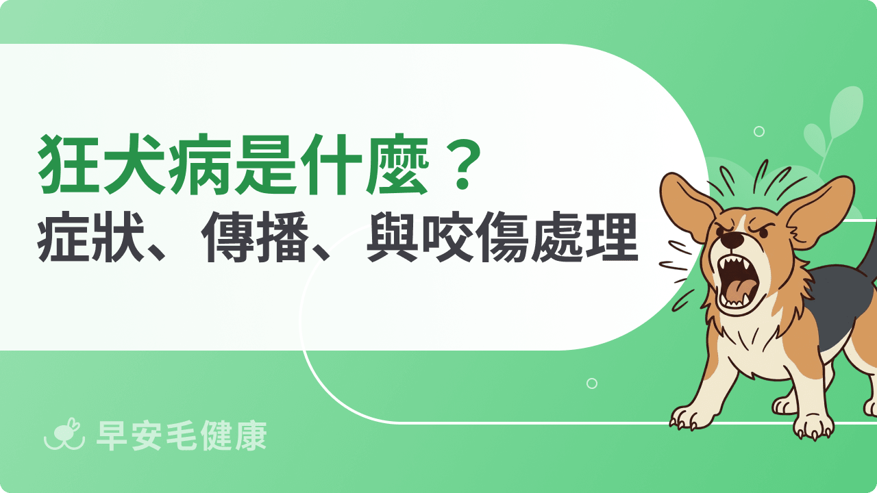 狂犬病是什麼？症狀、傳播途徑、疫苗接種與被咬後處理方式