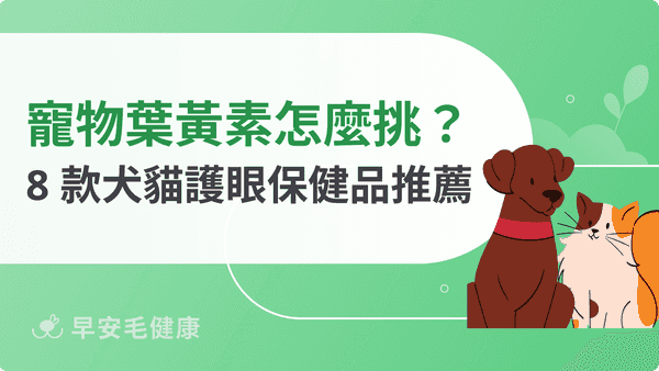 寵物葉黃素怎麼挑?2026 最新 8 款犬貓護眼保健品推薦