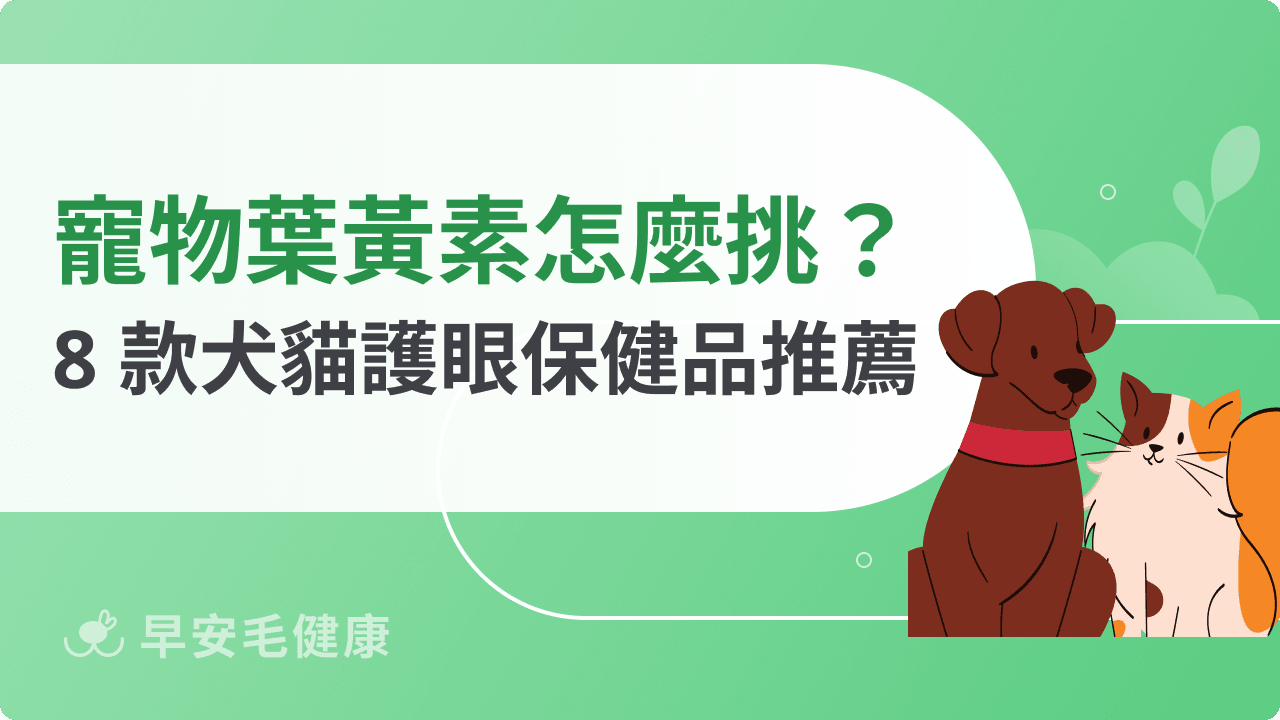 寵物葉黃素怎麼挑?2026 最新 8 款犬貓護眼保健品推薦