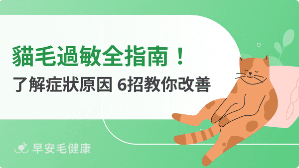 貓毛過敏全指南!了解過敏症狀、原因,教你6大方法改善!