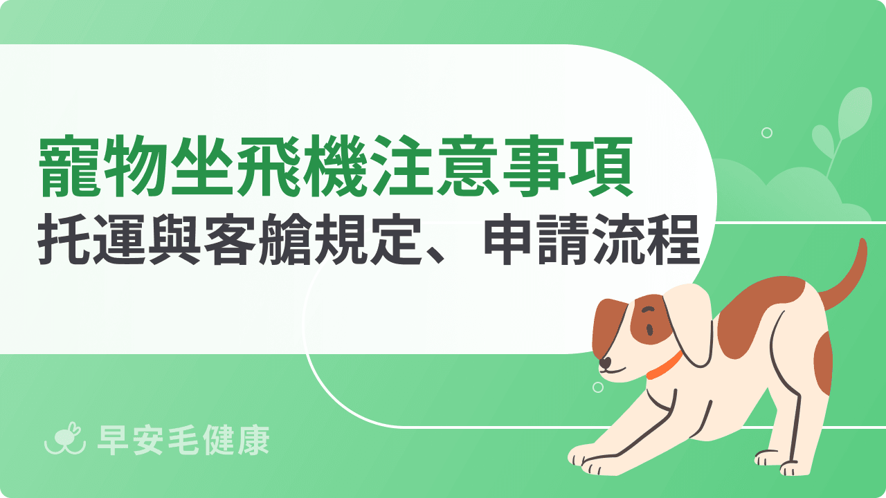 寵物坐飛機注意事項整理！托運與客艙規定、申請流程懶人包