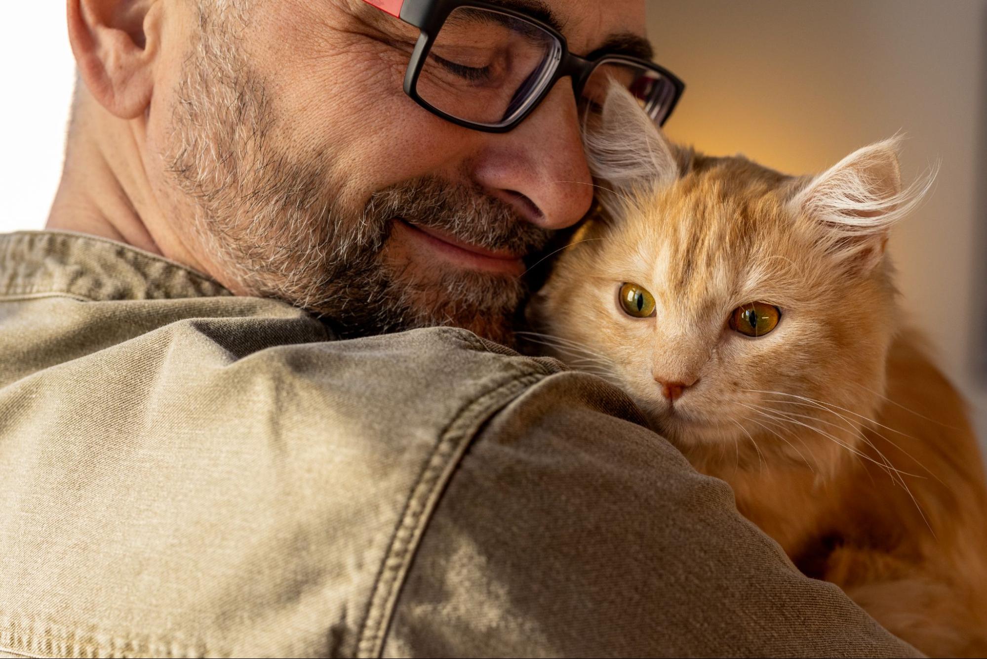 109.cat-lifespan-guide-3