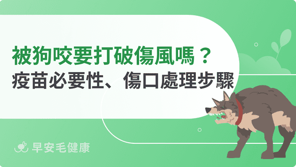 被狗咬一定要打破傷風嗎？判斷標準、傷口處理與疫苗費用