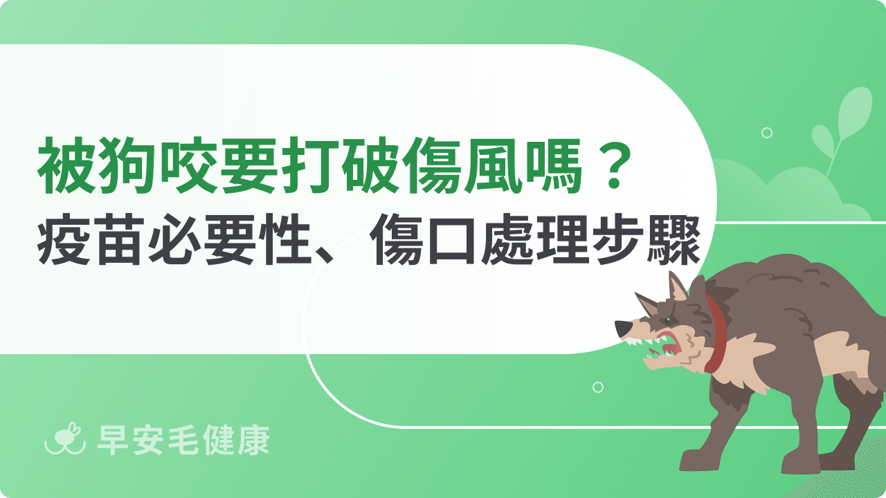 被狗咬一定要打破傷風嗎？判斷標準、傷口處理與疫苗費用