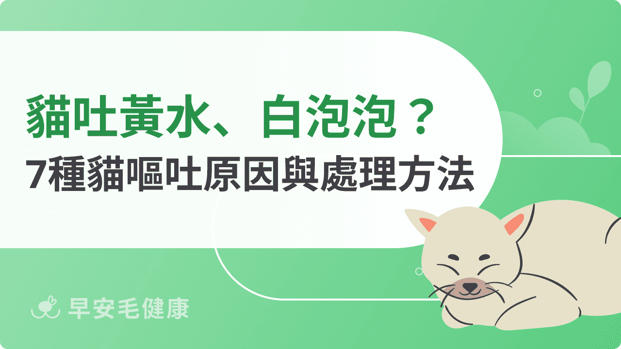 貓吐怎麼辦？吐黃色、粉色水？嘔吐7原因＋應對方法