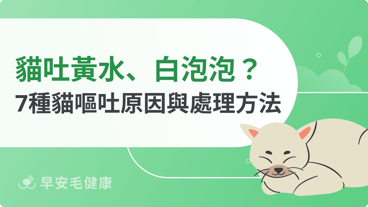 貓吐怎麼辦？吐黃色、粉色水？嘔吐7原因＋應對方法
