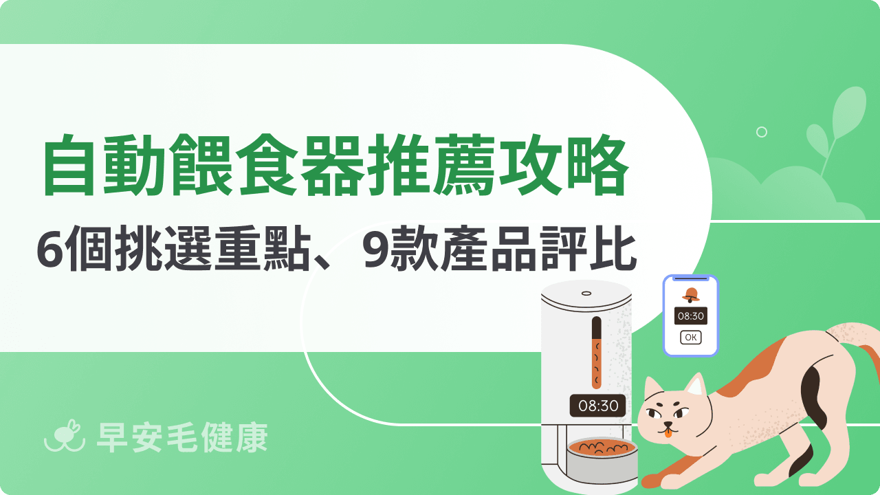 自動餵食器推薦！2026 最新 9 款寵物智慧餵食器精選評比