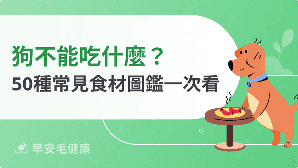 狗不能吃什麼？50 種常見食材紅黃綠燈分級，餵錯一口可能送急診