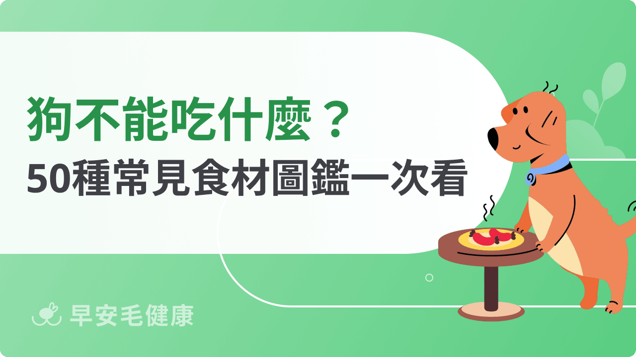 狗不能吃什麼?50種食物紅黃綠燈分級表,中毒急救4步驟一次看