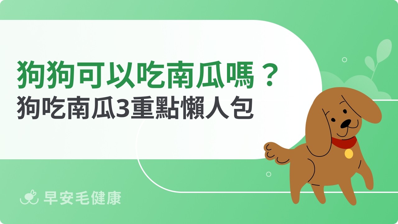 狗狗可以吃南瓜嗎？對身體保健有幫助？獸醫觀點完整解析