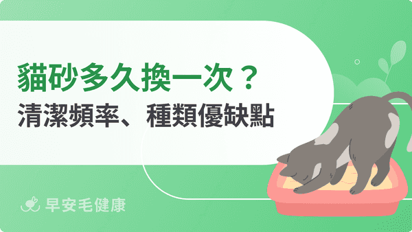貓砂多久換一次？清潔頻率、種類優缺點一次搞懂！