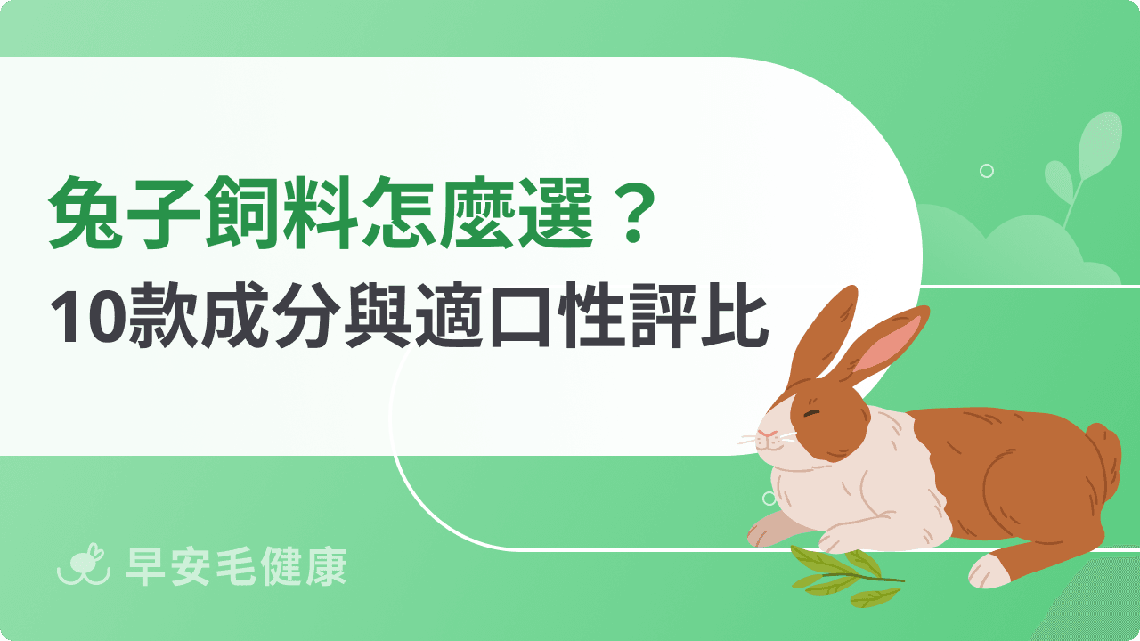 兔子飼料不是壓縮的就好！2026 精選 10 款品牌成分與適口性評比