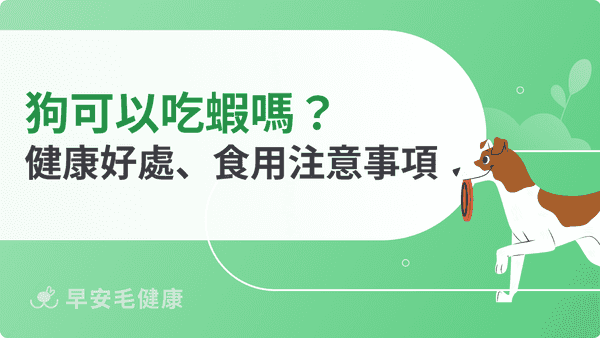 狗可以吃蝦嗎？蝦子的營養好處、過敏風險與正確餵食方式