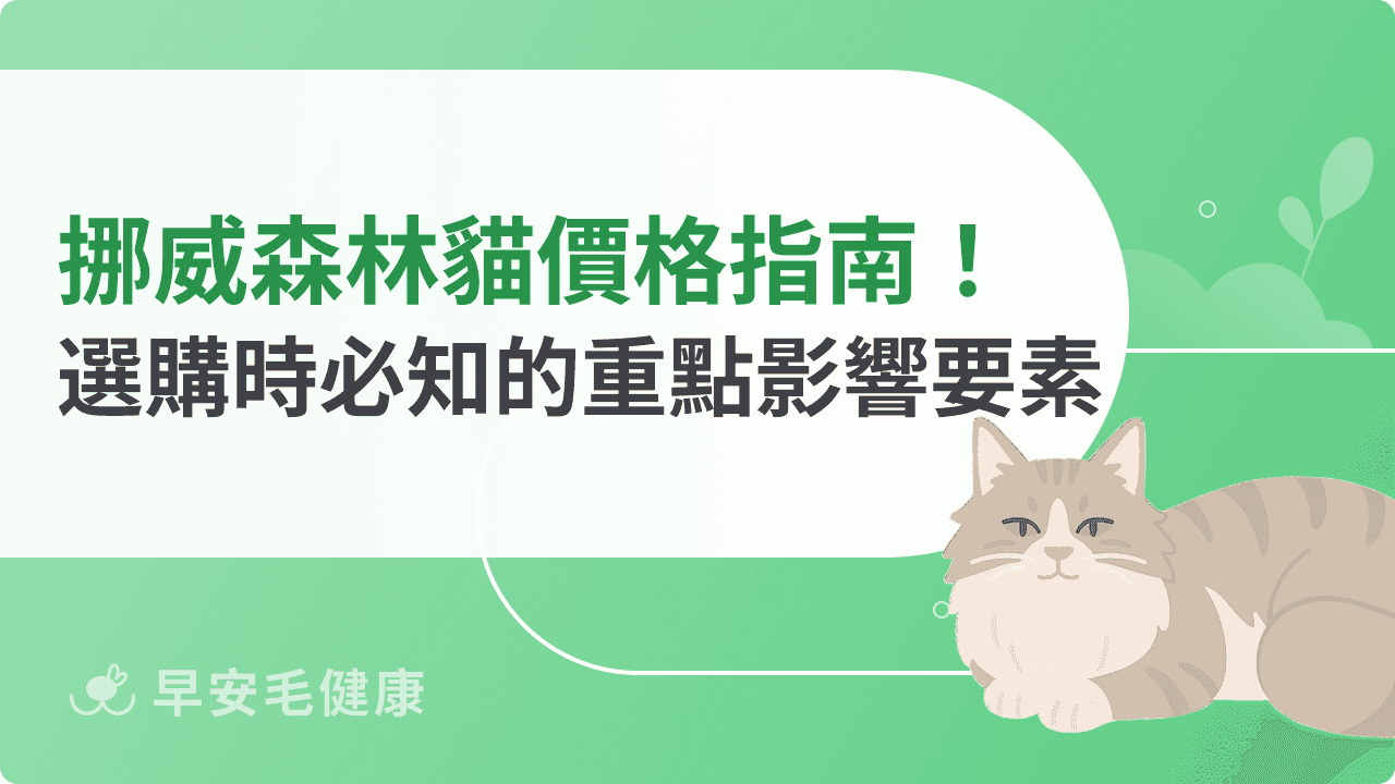 挪威森林貓價格指南！選購時必知的重點影響要素