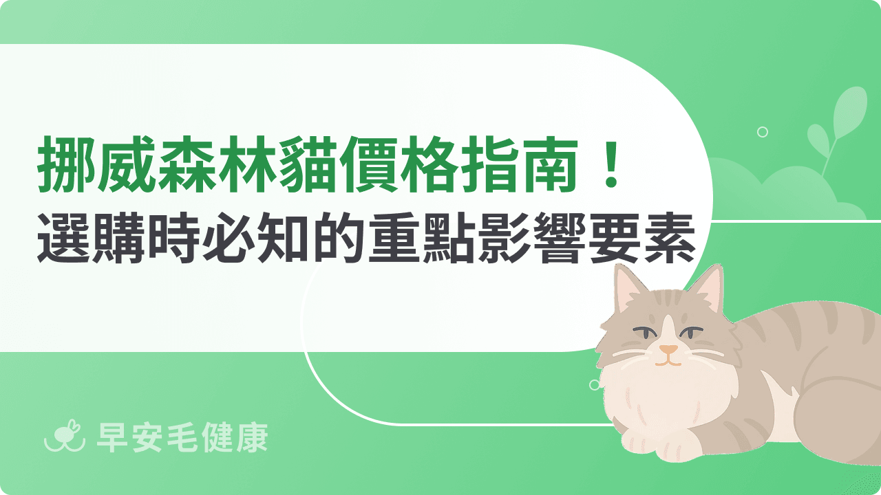 挪威森林貓價格指南！選購時必知的重點影響要素