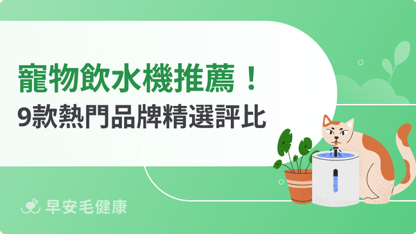 寵物飲水機推薦哪款值得買?2026 最新 9 款無線熱門品牌精選評比!