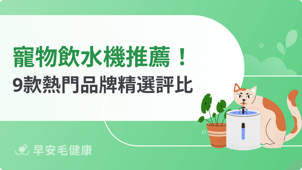 寵物飲水機推薦哪款值得買?2026 最新 9 款無線熱門品牌精選評比!