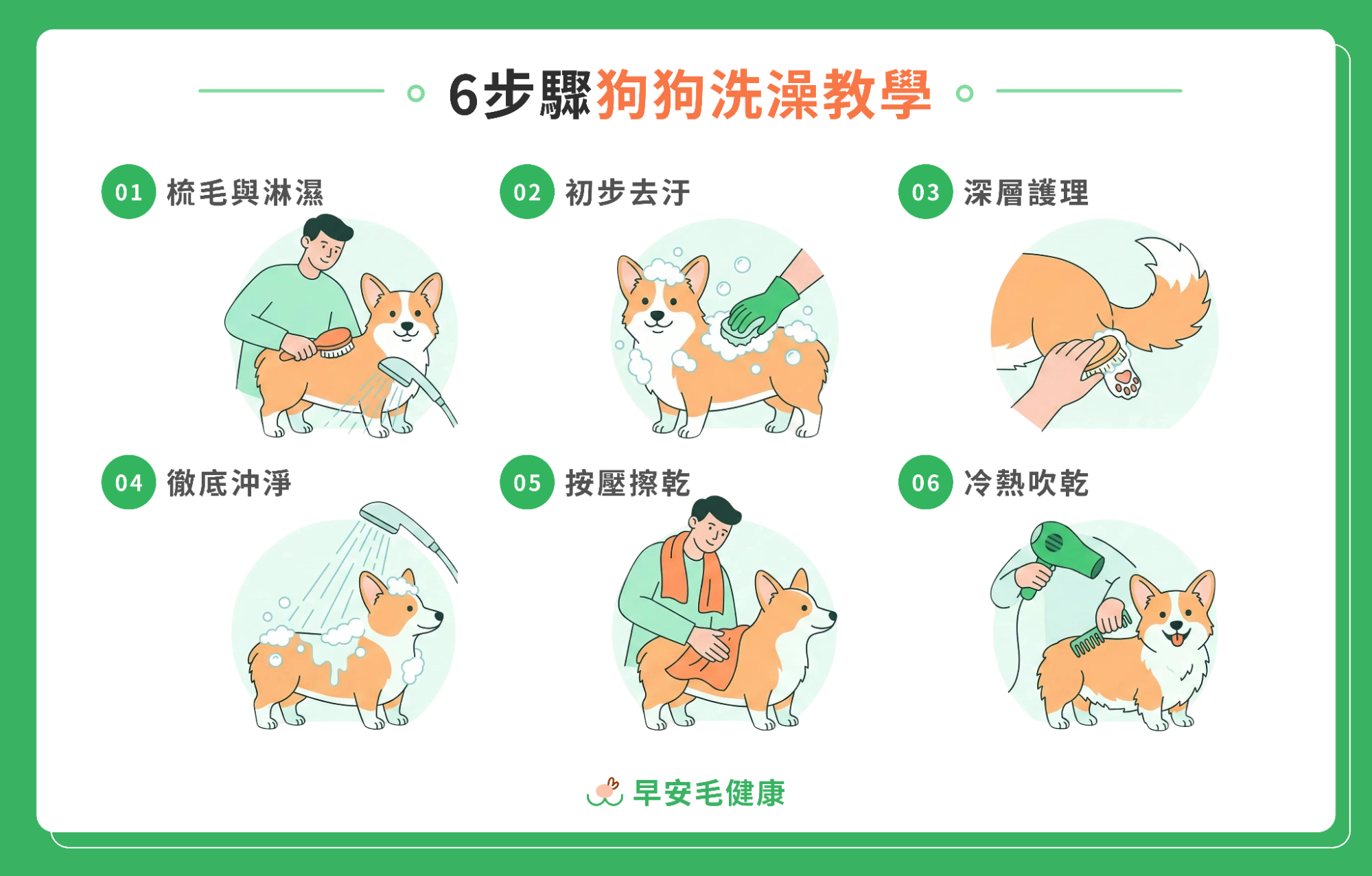 六步驟狗狗洗澡教學插圖，以柯基犬為示範，依序展示梳毛淋濕、搓洗泡泡、護理腳掌、蓮蓬頭沖淨、毛巾按壓擦乾、吹風機吹乾的過程