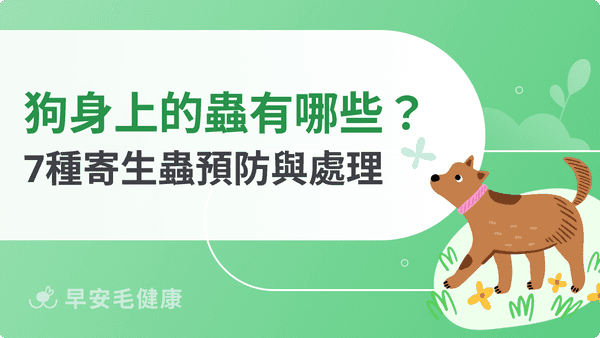 狗狗身上的蟲有哪些?7種狗狗寄生蟲預防與處理攻略!