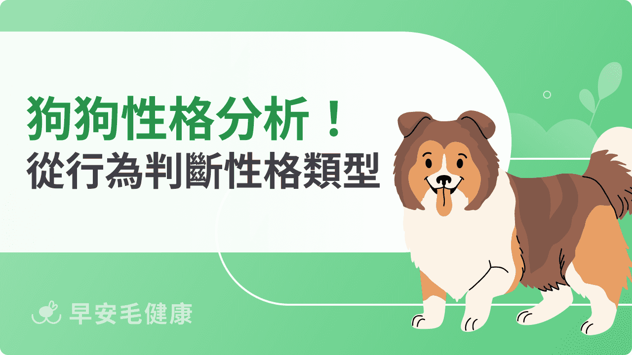 狗狗性格分析:你家毛孩是哪一型?從行為判斷性格類型