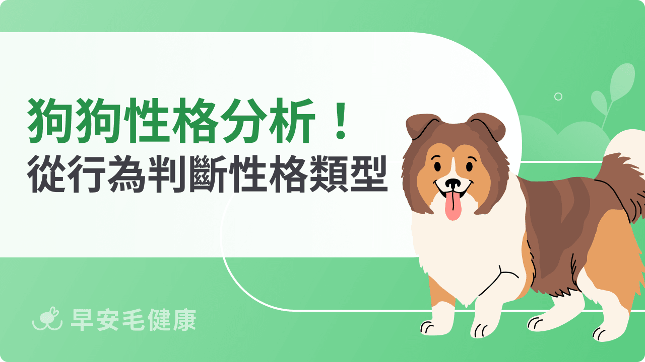狗狗性格分析:你家毛孩是哪一型?從行為判斷性格類型