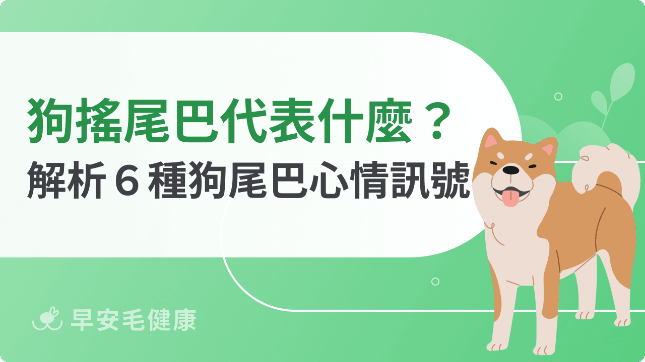 狗尾巴意思解析!下垂、翹起與搖擺等6 種狗狗搖尾巴情緒解析