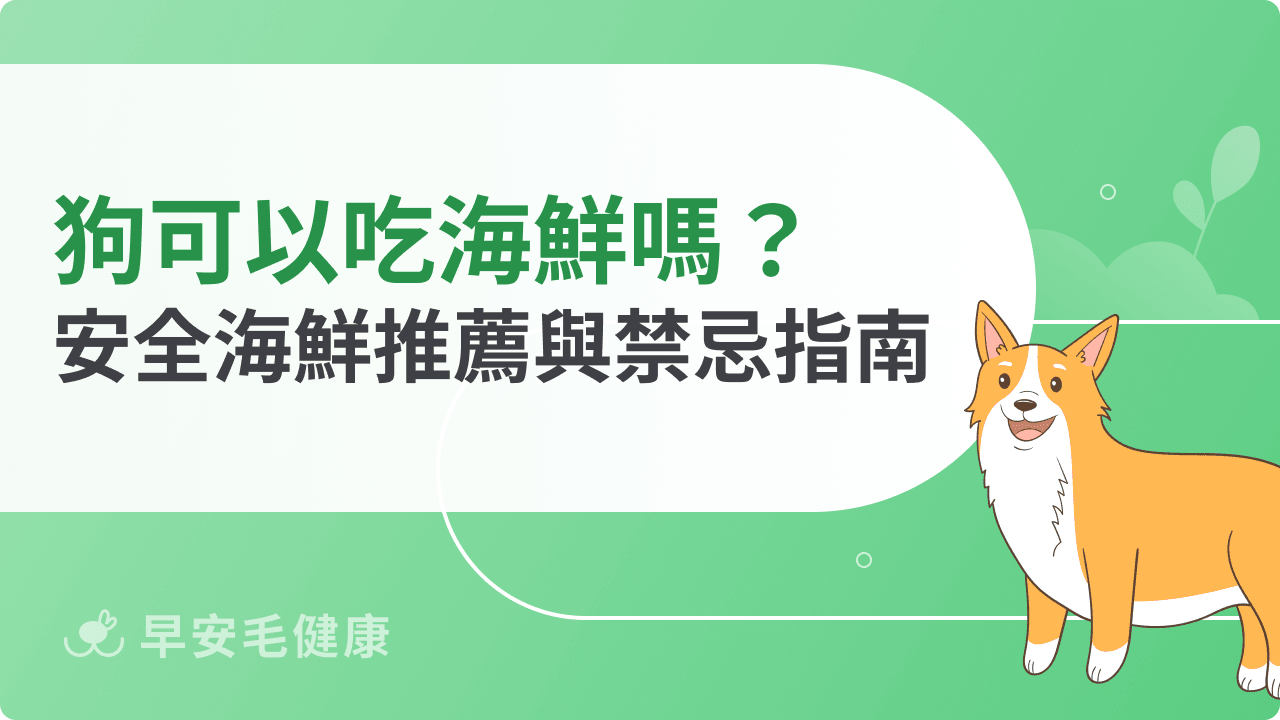 狗可以吃海鮮嗎?營養好處多,但「這些」有毒別餵!