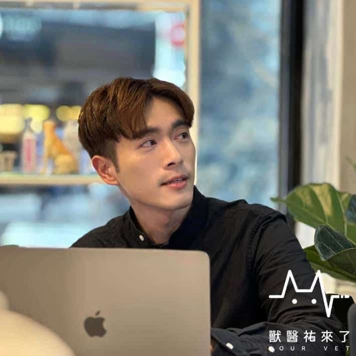 2.mountainvet-pets-osteoarthritis-guide-vet