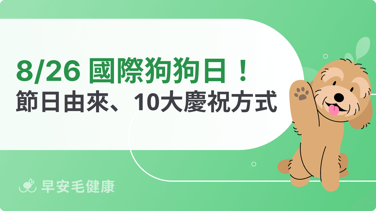 8/26國際狗狗日!節日由來、10大慶祝方式與全球狗狗節日整理
