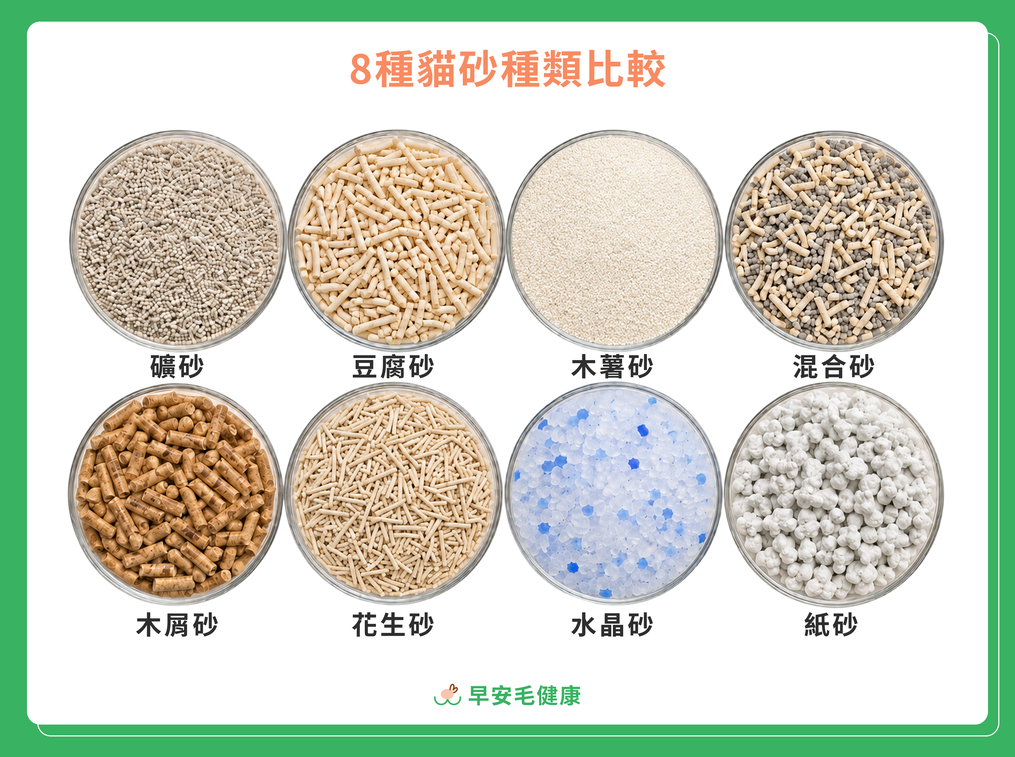8種常見貓砂種類材質比較