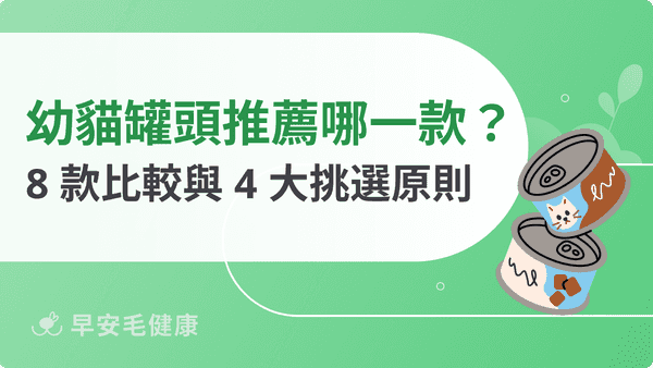 幼貓罐頭推薦！2026 精選 8 款高人氣品牌與 4 大挑選重點